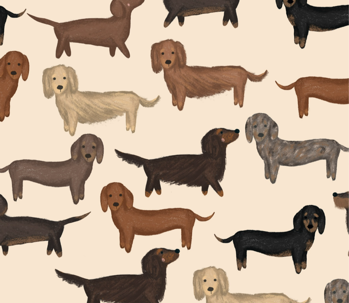 Mixed Coat Dachshund life fleece blanket