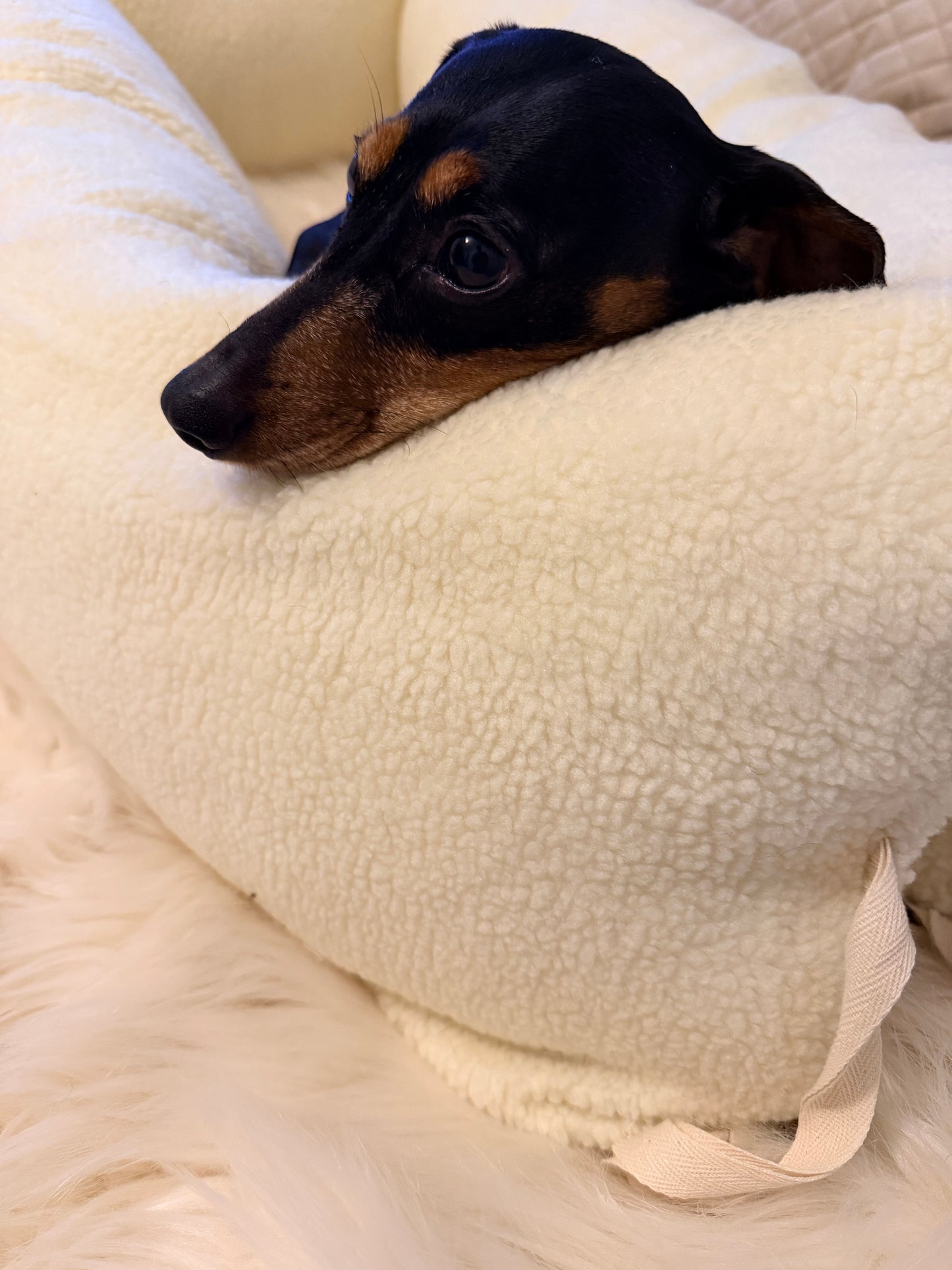 IVDD & Crate Rest Bumpers