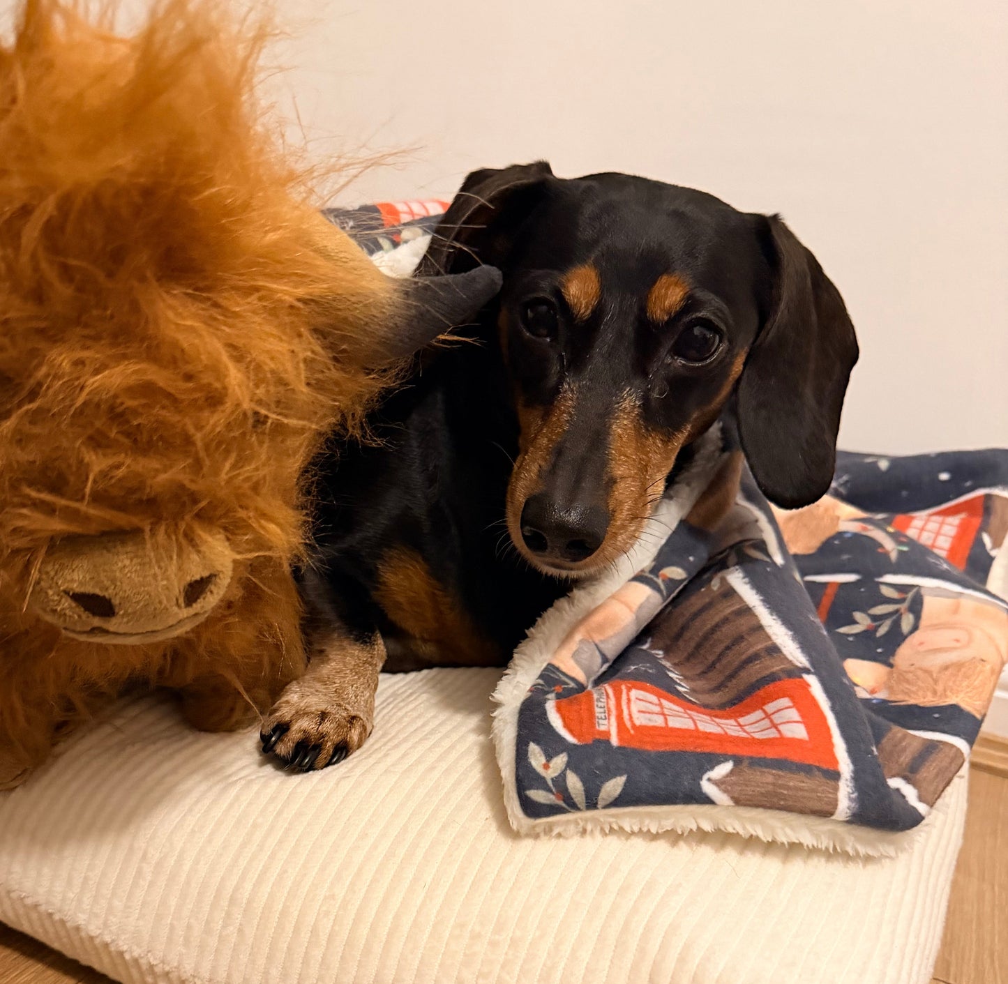 Hettie the Highland Cow Snuggle Blanket