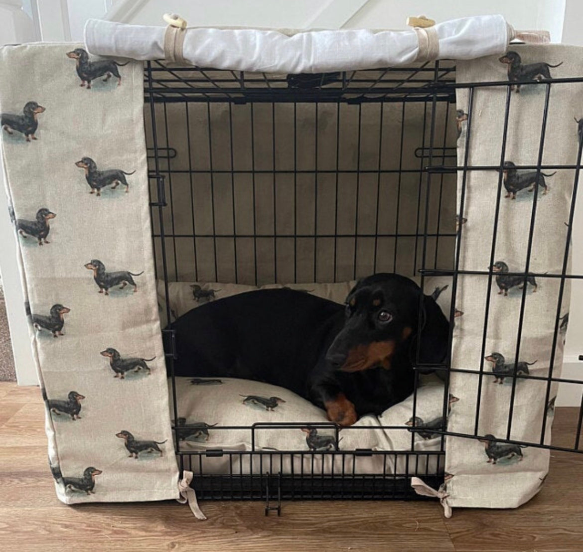 Dark short haired dachshund in a dog print dog crate set