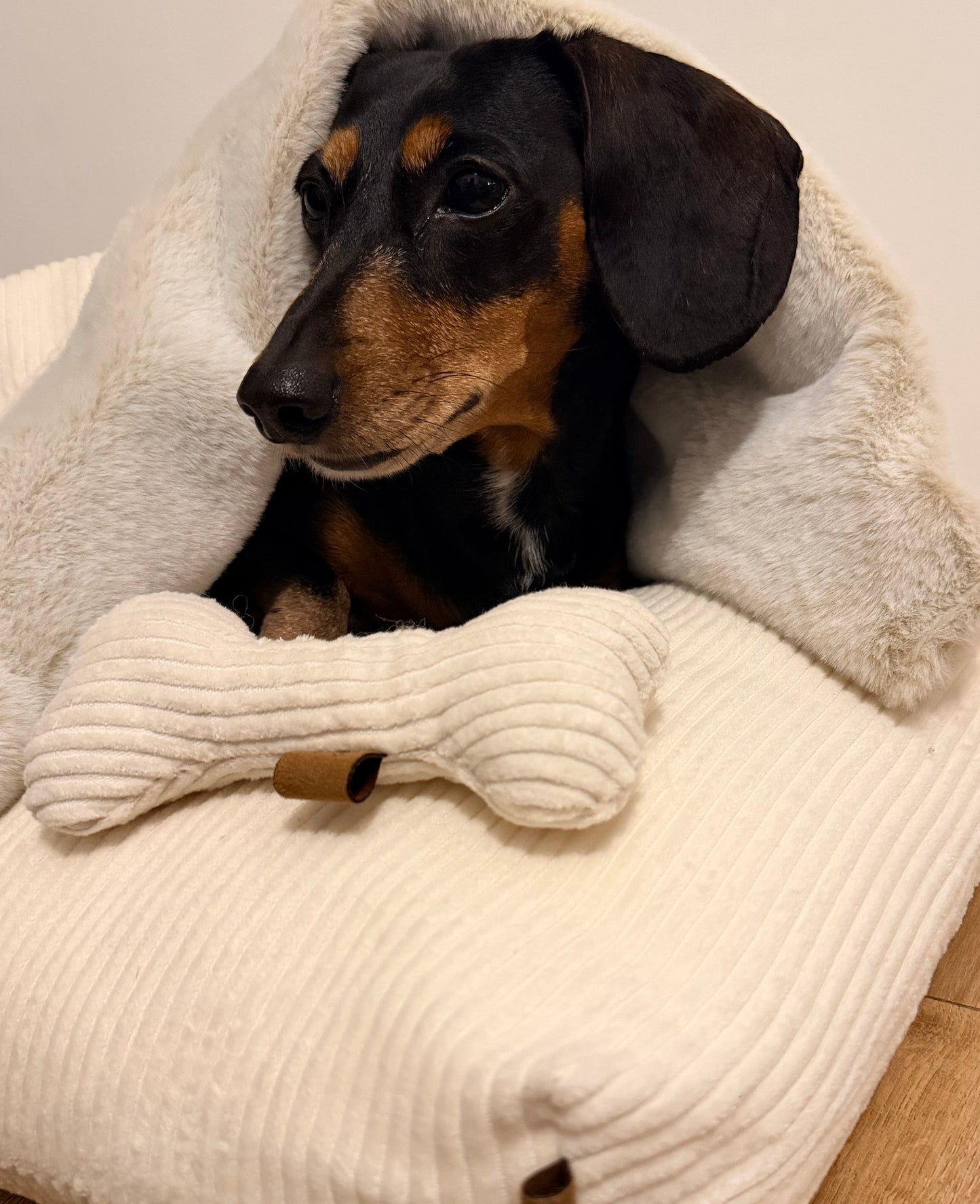 Full Crate Set Heavenly Cloud