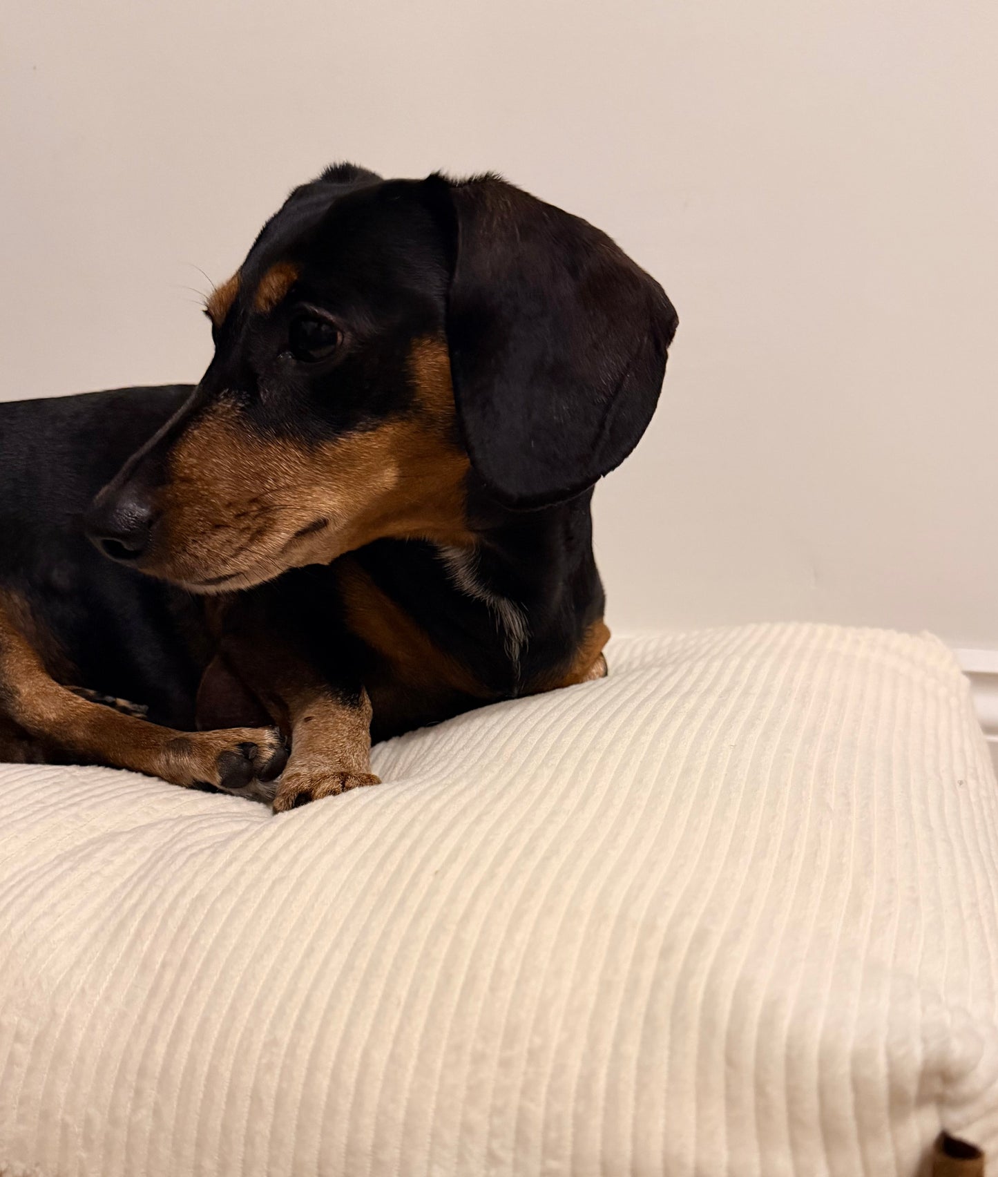 Full Crate Set Heavenly Cloud