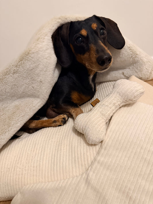 Heavenly Cloud Blanket