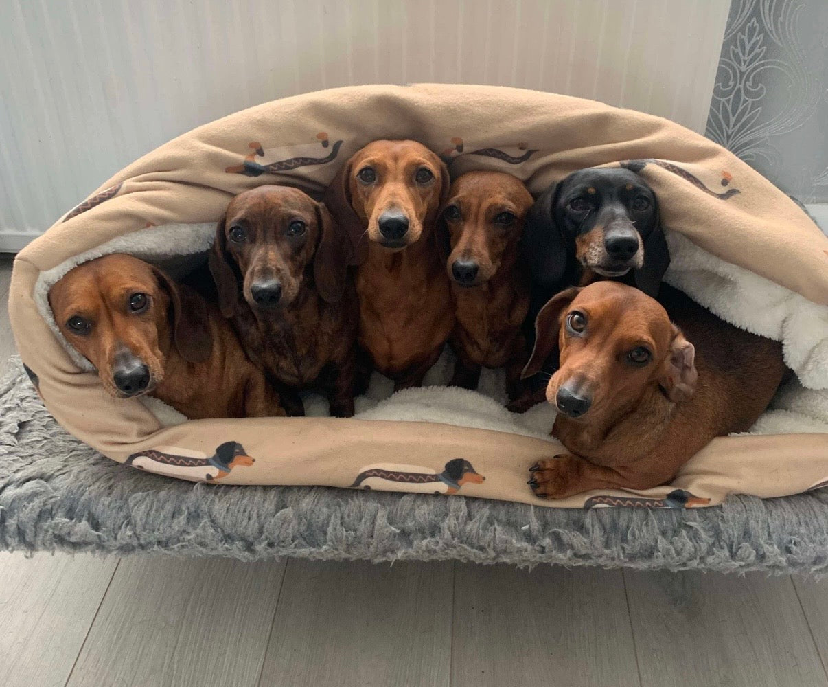 Albee Hotdog Dash Snuggle Sack