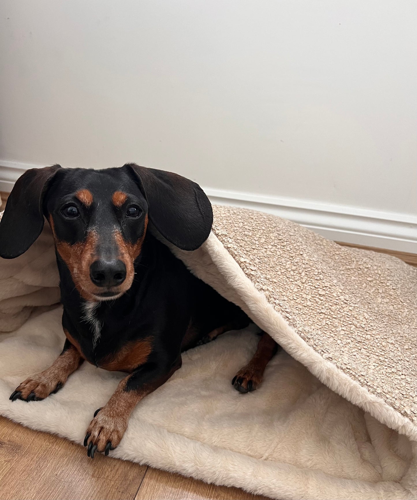 Limited Edition Snuggle sacks with Faux Fur Lining