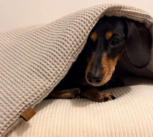 Waffle Winter Duvet Days