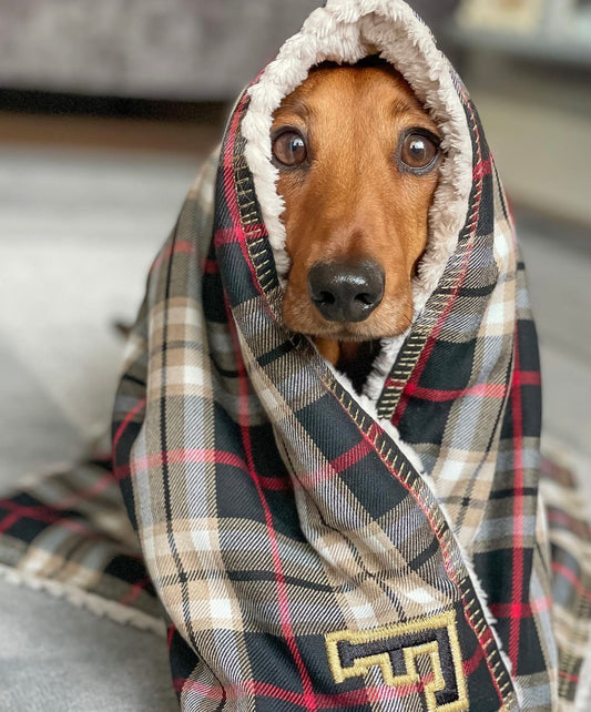 Blankets and Cushions