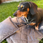 Quilted Picnic Mat