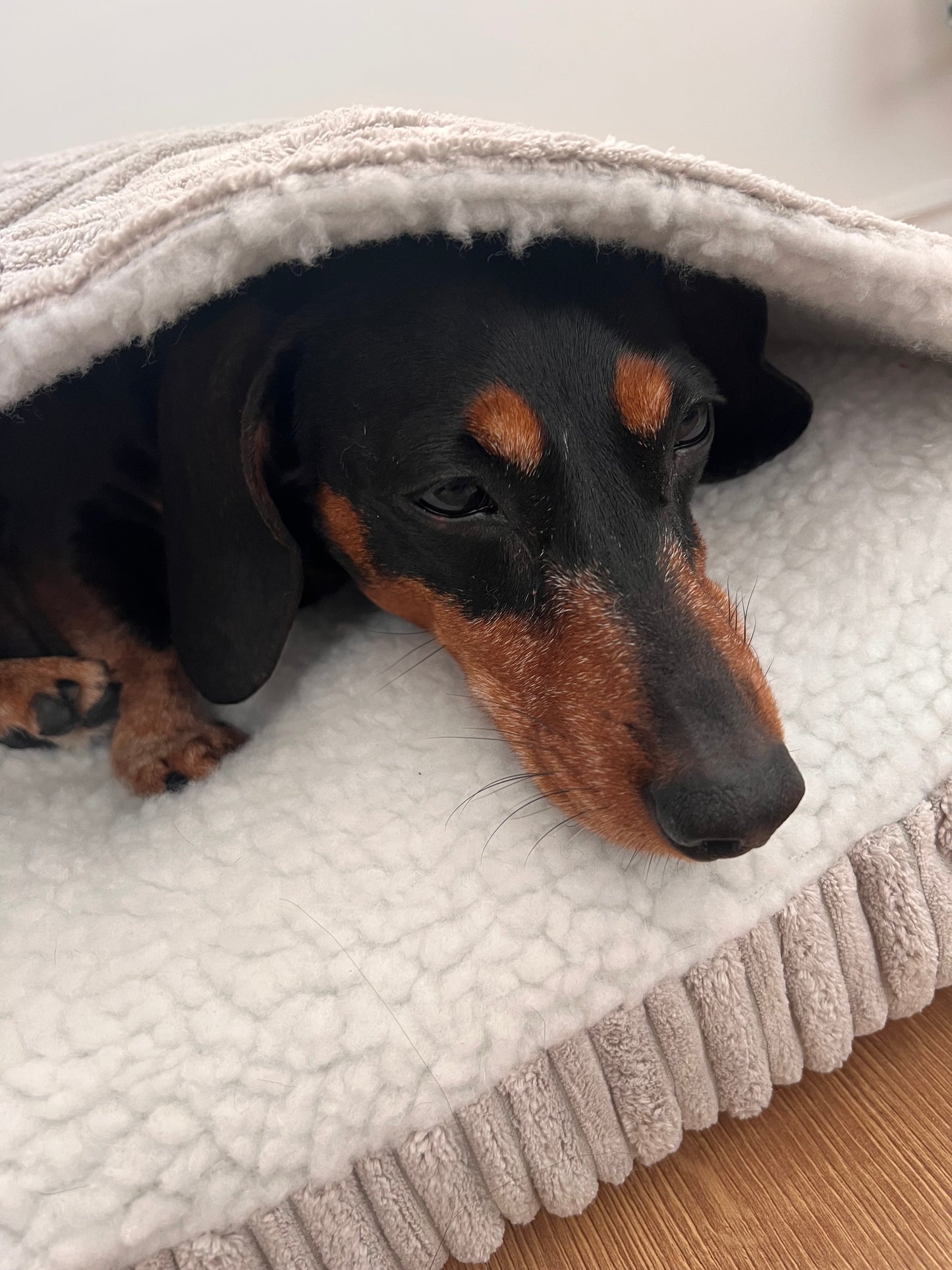 Snuggle Bed Cord