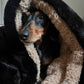 Black Fur and Oat Teddy Snuggle Sack for dogs and pets