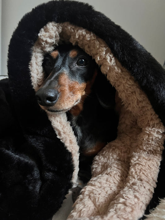 Black Fur and Oat Teddy Snuggle Sack for dogs and pets