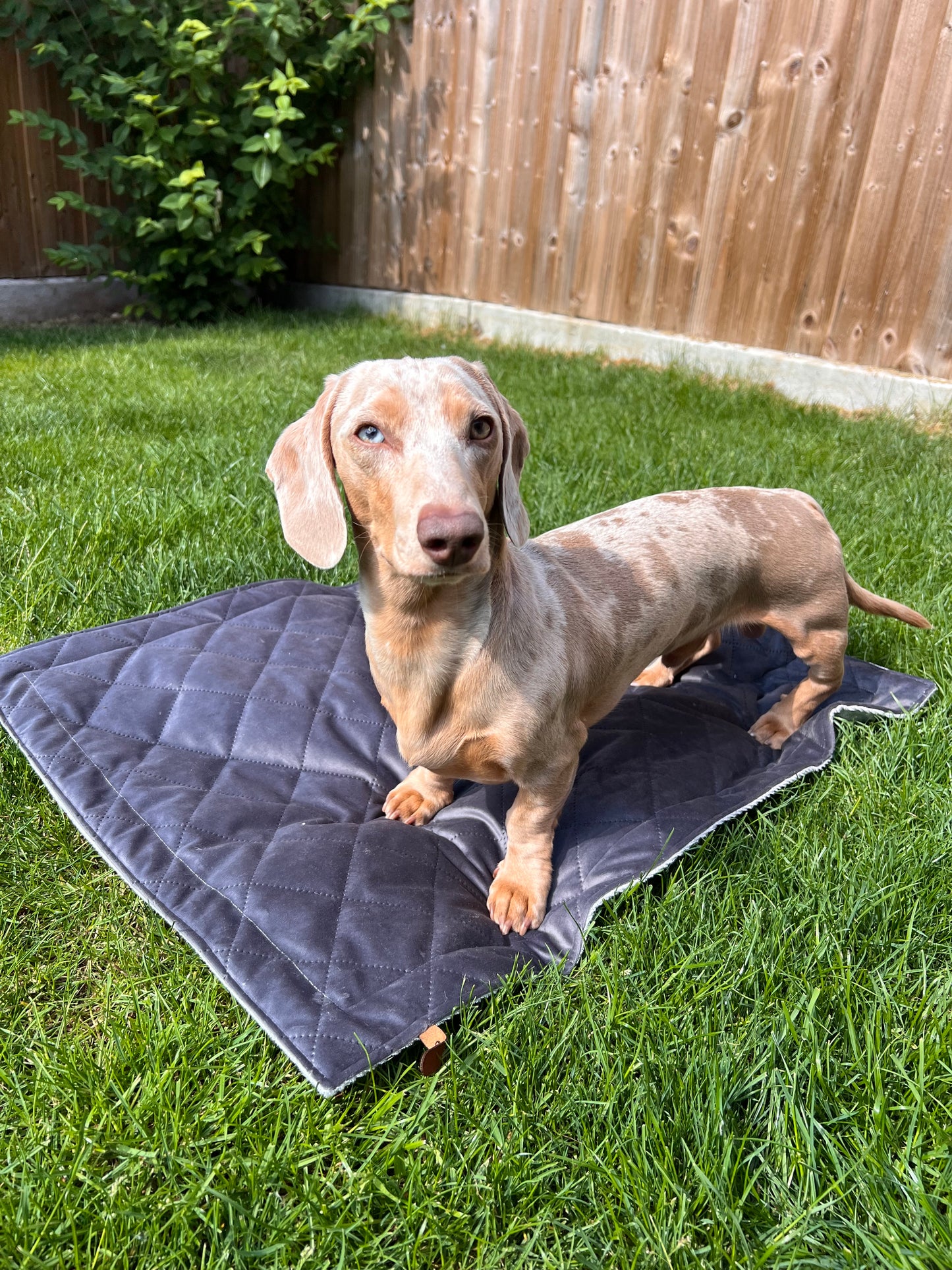 Quilted Picnic Mat