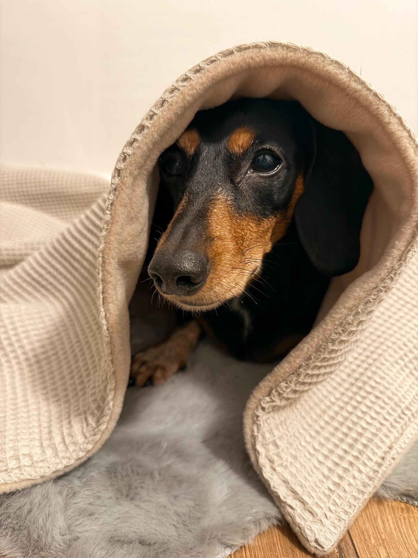 Ottos Cosy Waffle House Gift Set