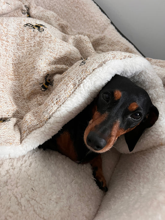 Woven Bee Snuggle Sacks and Blankets