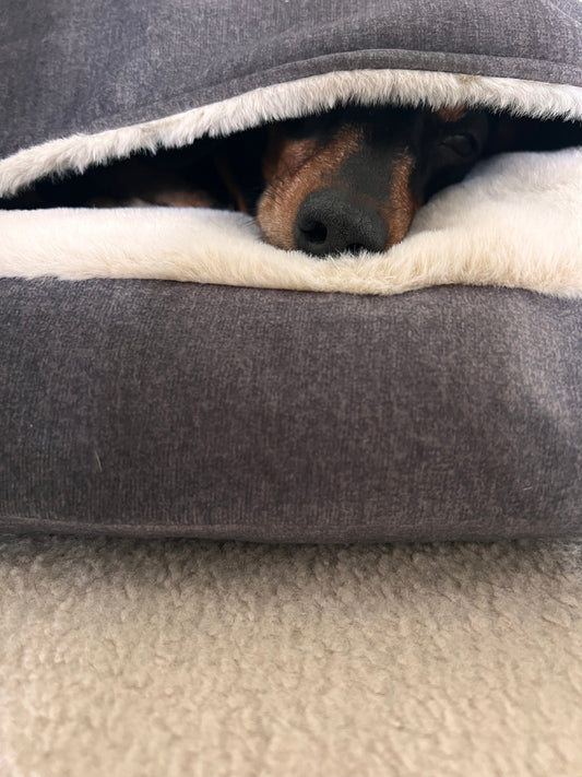 Snuggle Bed 2 in 1 VW (Bed and Converter)