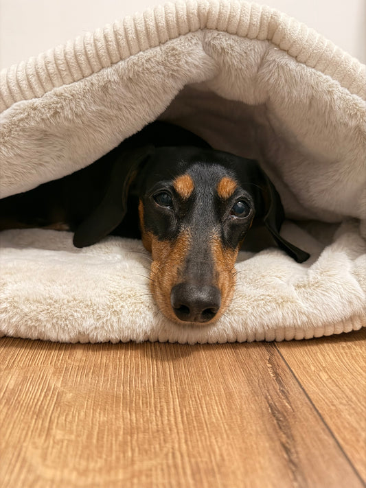 Heavenly Cloud Snuggle Sack