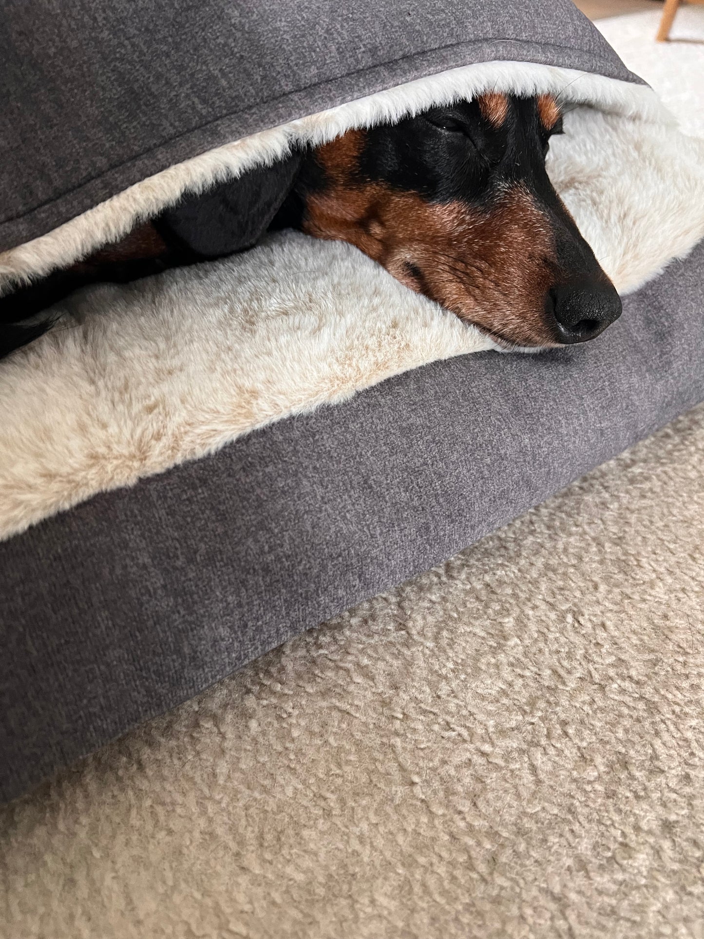 Snuggle Converter for Crate Bed VW