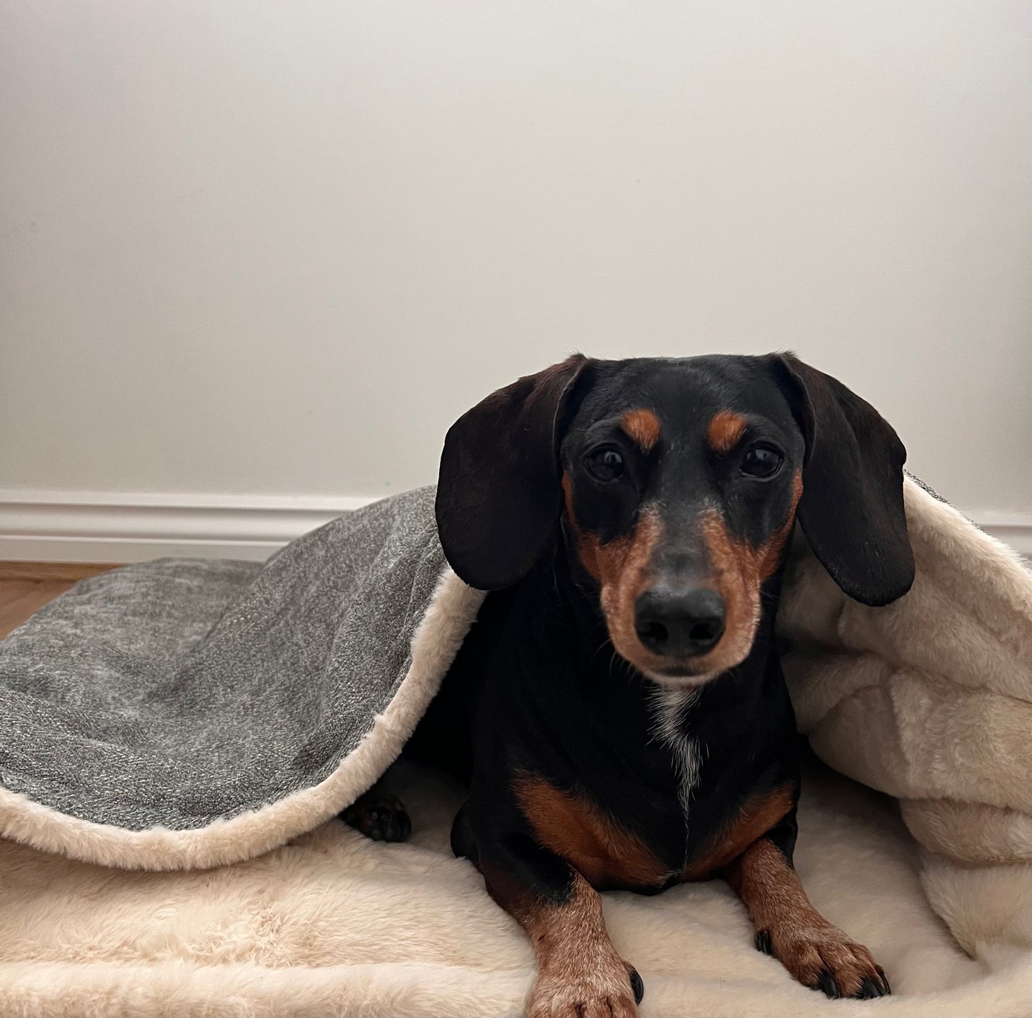 Limited Edition Snuggle sacks with Faux Fur Lining