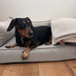 Orthopaedic Sofa Bed VW