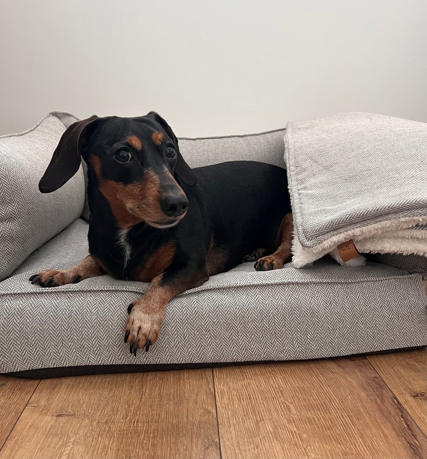 Orthopaedic Sofa Bed VW