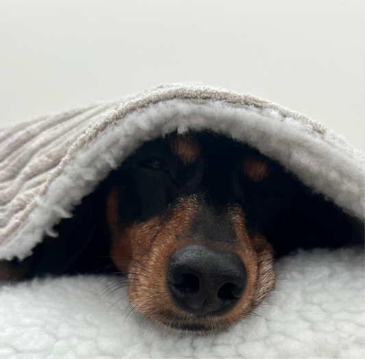 Snuggle Bed Cord