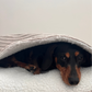 Snuggle Converter for Crate Bed Cord