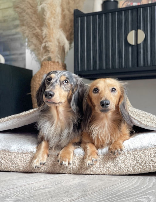 Snuggle Bed VW