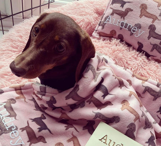 Dachshund life fleece blanket 4 colour options