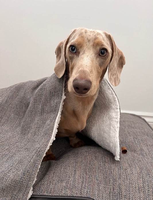 Blankets and Cushions V&W