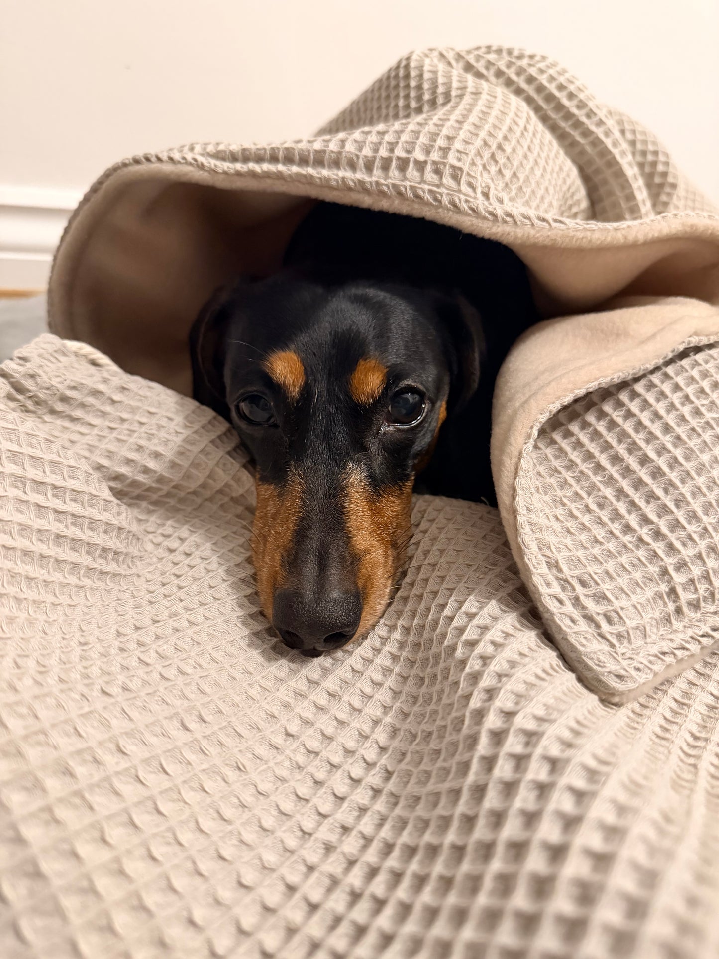 Ottos Cosy Waffle House Gift Set