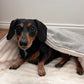 Limited Edition Snuggle sacks with Faux Fur Lining