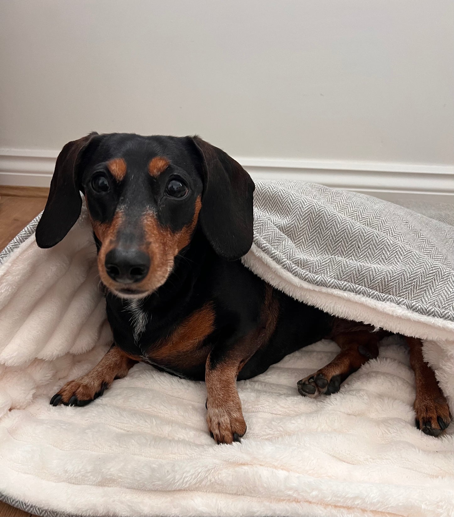 Limited Edition Snuggle sacks with Faux Fur Lining