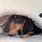 Latte Boucle Snuggle Sack