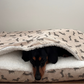 Snuggle Bed 2 in 1  (Bed and Converter)