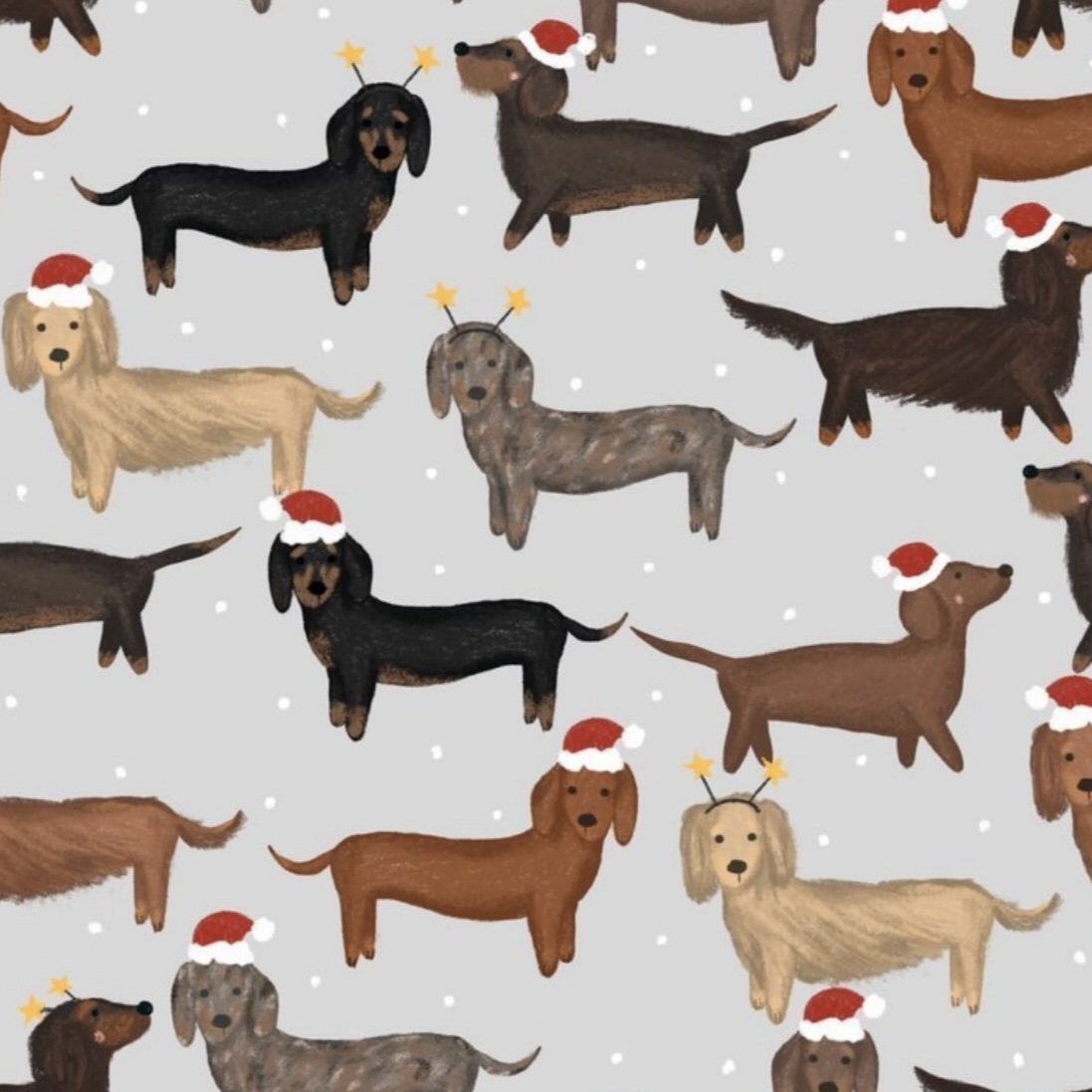 Dashing Through the Snow Gift Wrap