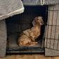 Dog sitting inside a pet crate with a gray cover on a wooden floor.