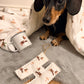 Small dog lying on a blanket with a mug and decorative items featuring dog illustrations.