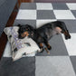 Personalised Blankets and Cushions