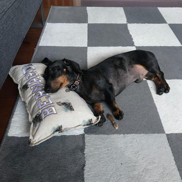 Personalised Blankets and Cushions