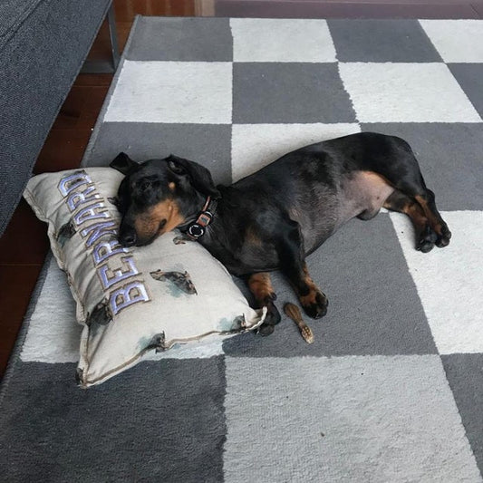 Personalised Blankets and Cushions