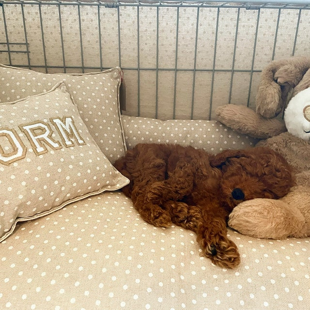 brown curly haired puppy asleep on a polka dot cushion 