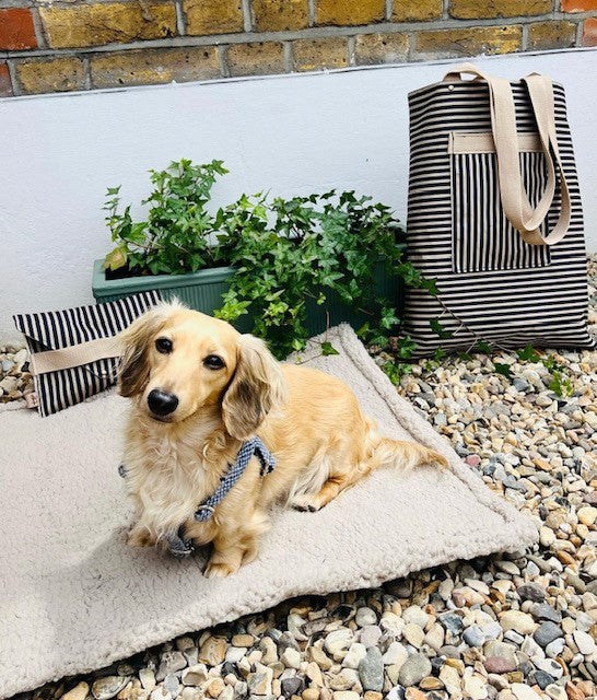 Picture of a dachshund on a cosy settle mat outside with a stripe tote in the background. The floor is pebbles in front of a house.