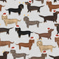 Pattern of dachshunds wearing Christmas hats on a light gray background
