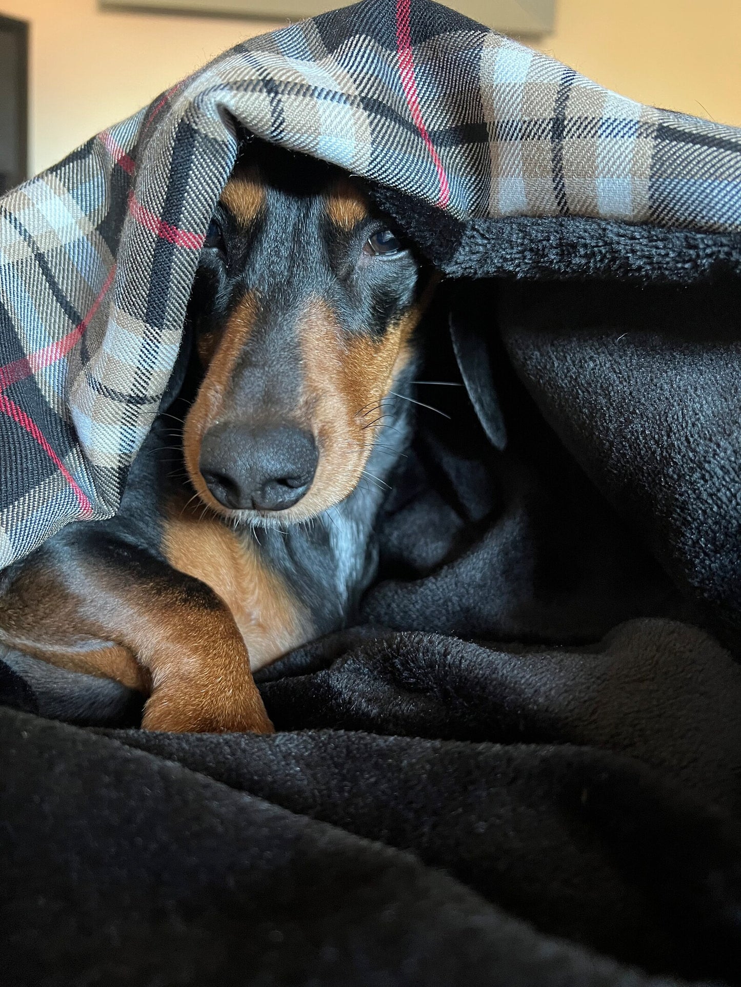 Personalised blanket and snuggle sack with soft cosy lining in tartan for dogs and pets