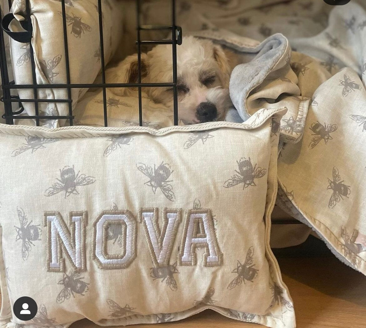poddle dog asleep in a carte with a personalised cushion reading Nova