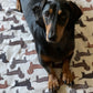 Dachshund life fleece blanket 4 colour options