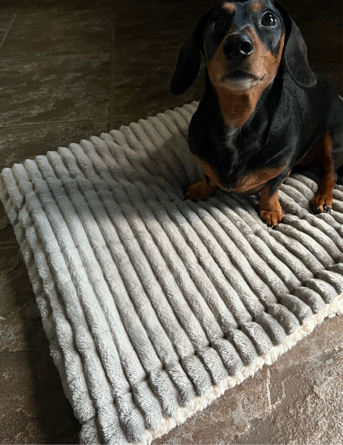 Snuggle sacks for dogs and pets in grey cord