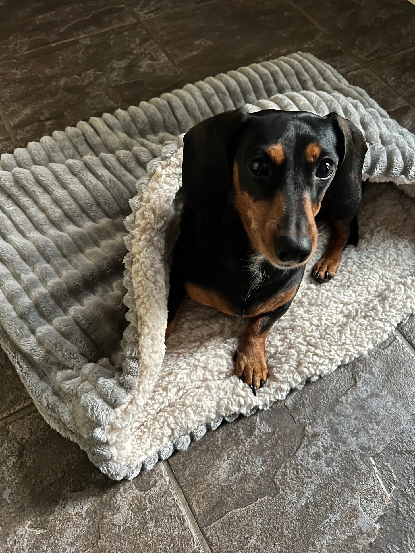 Snuggle sacks for dogs and pets in grey cord